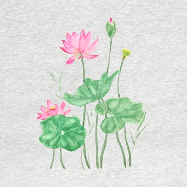 pink lotus flowers watercolor by colorandcolor